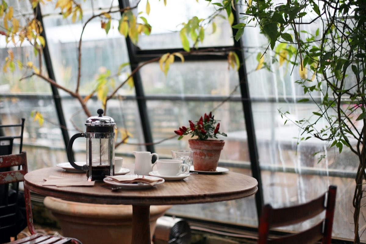 Coffee press and cups on a cafe table by a bright window